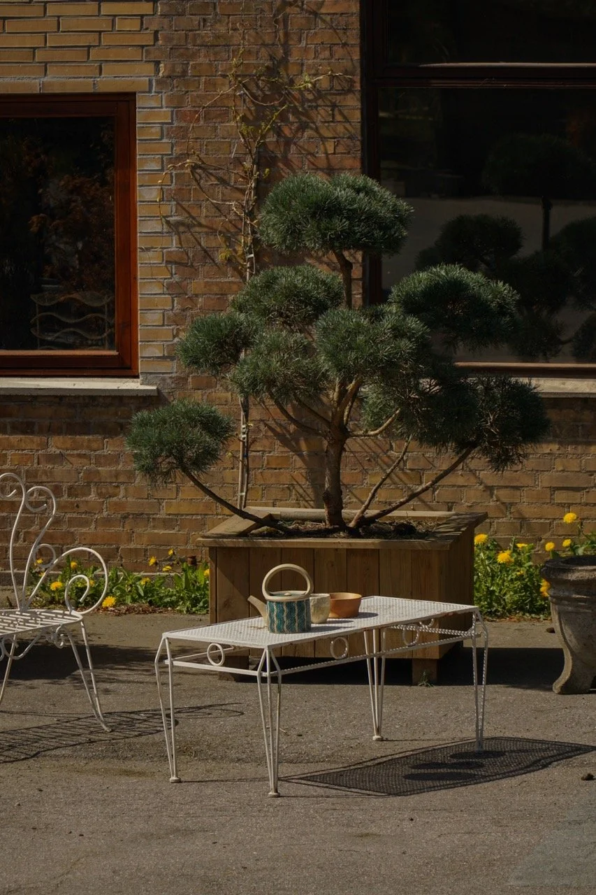 Ellebaek_Coffee_Table – stor.jpeg