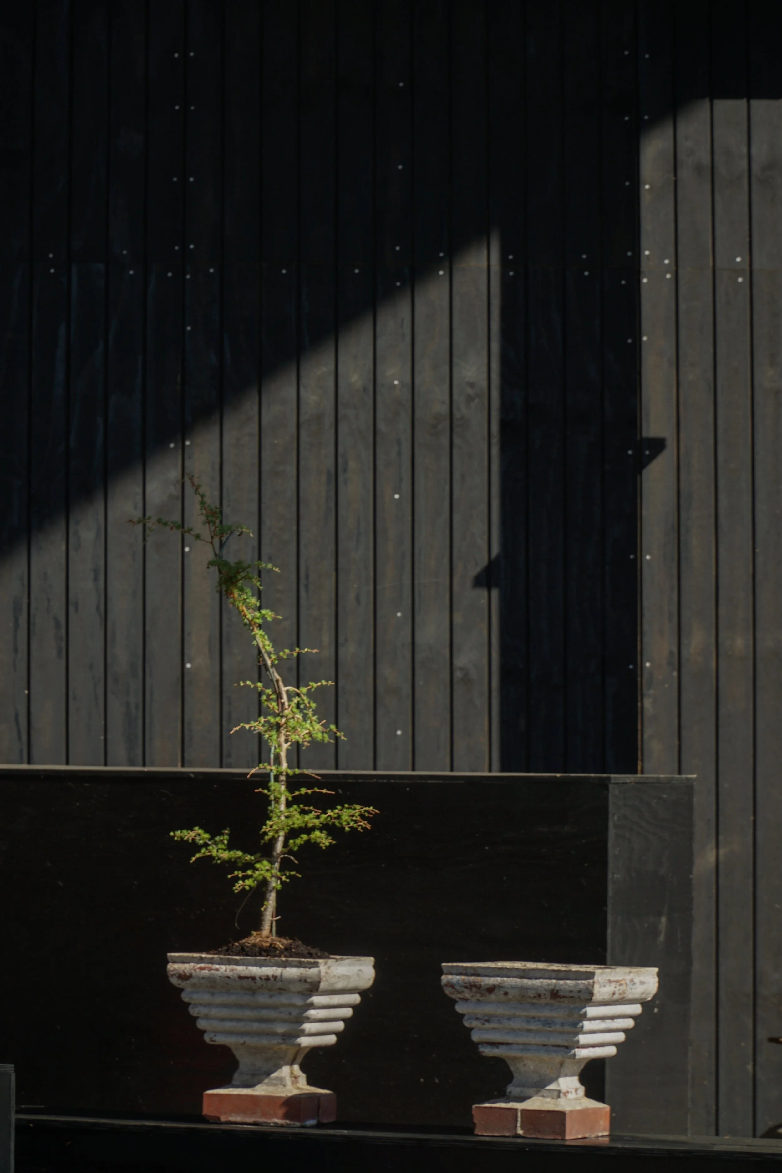 White_Planters-9.jpg