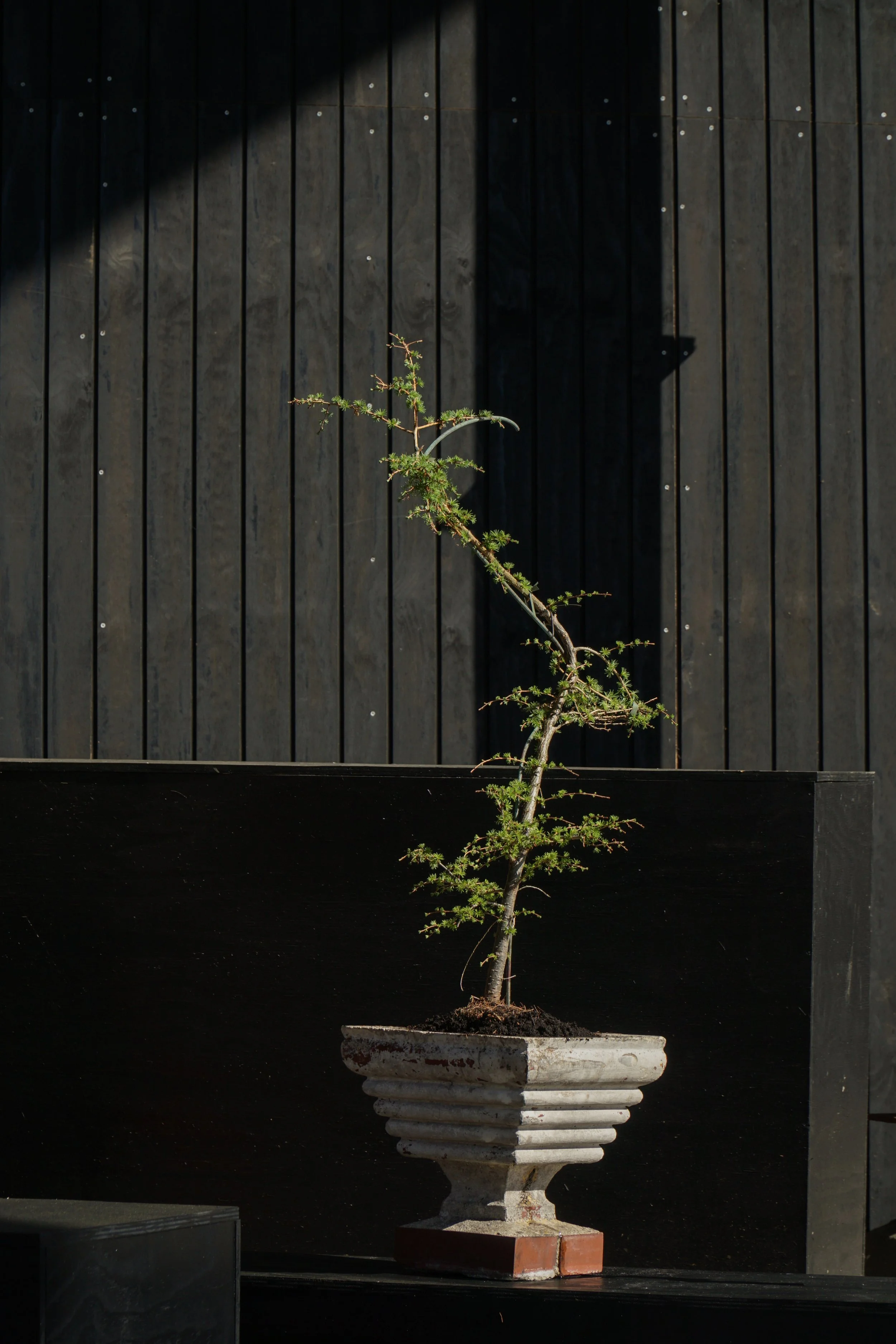 White_Planters-16.jpg