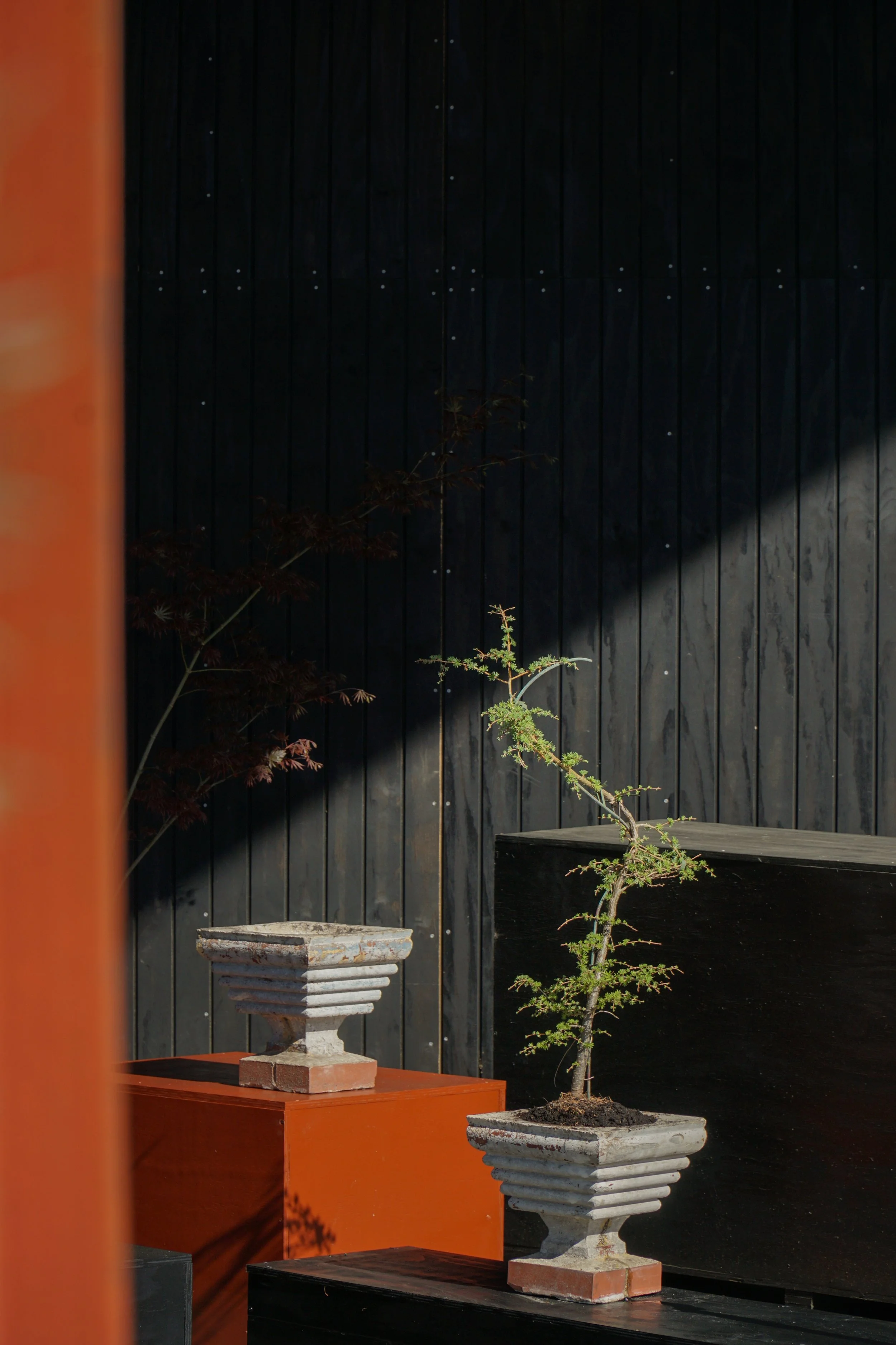 White_Planters-13.jpg