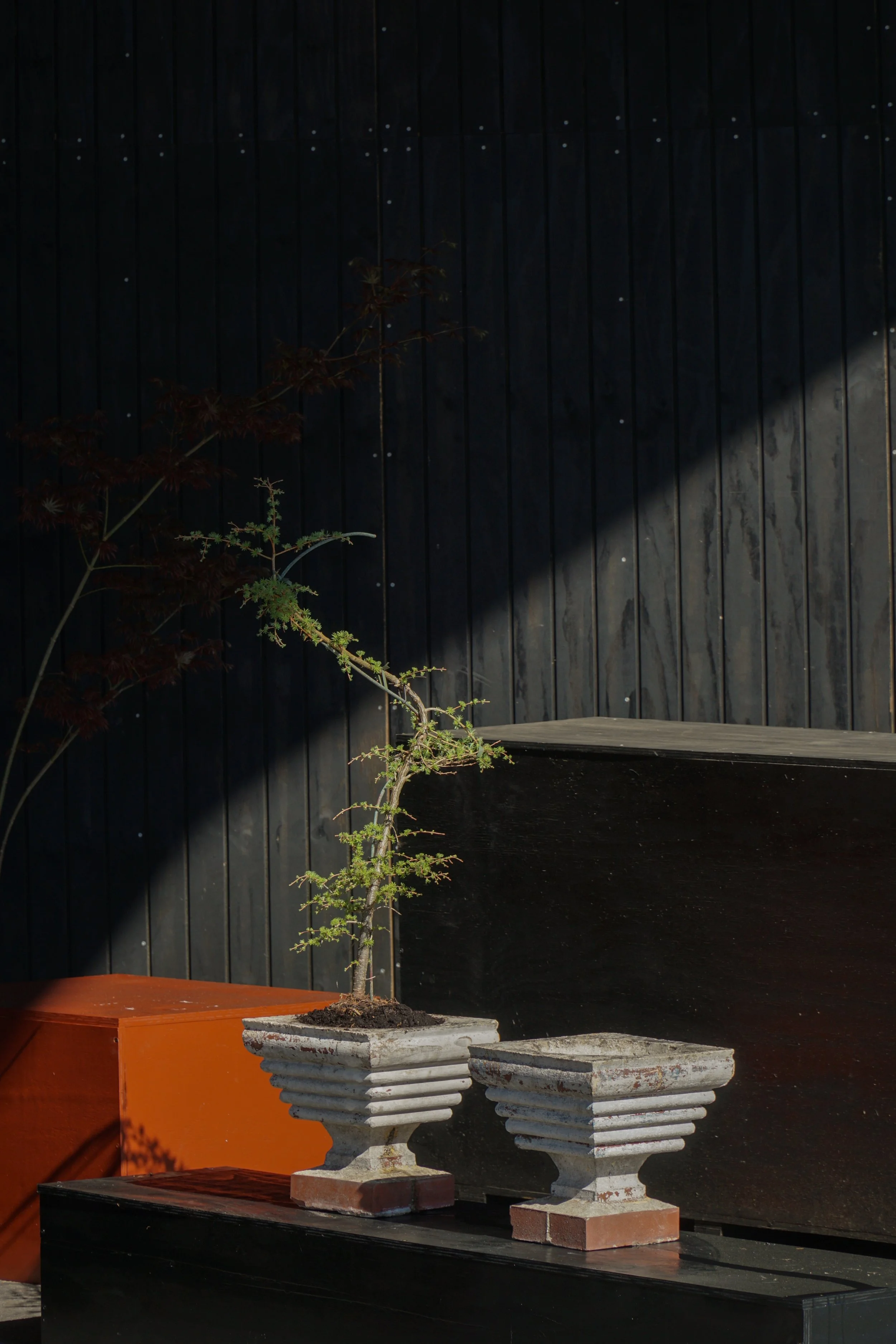 White_Planters-8.jpg