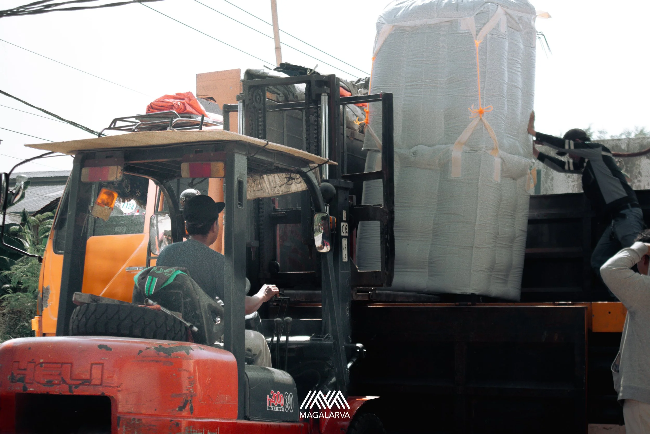 Dried BSF Larvae Shipment
