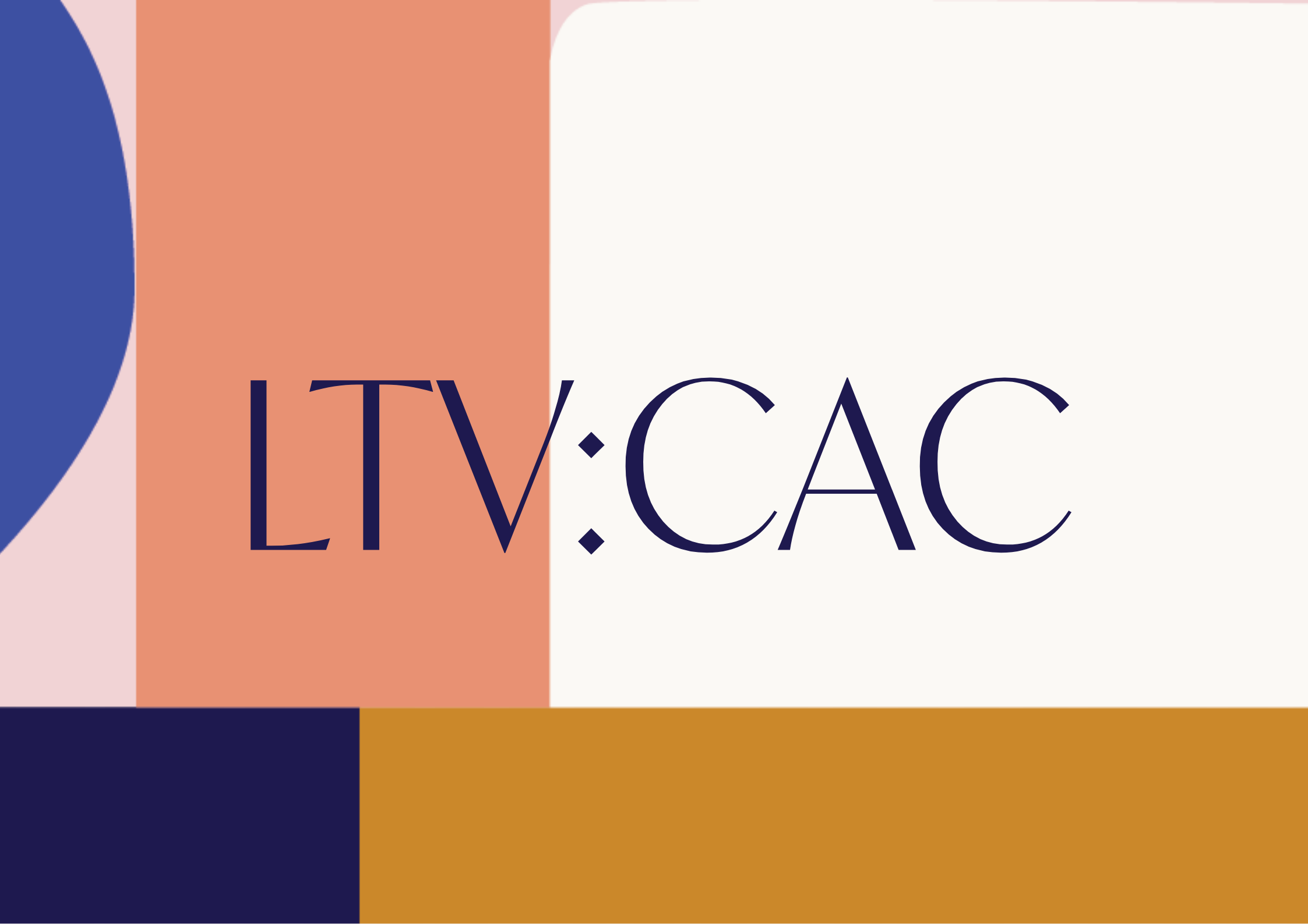 LTV vs CAC: The Metrics Every Ecommerce Founder Needs to Understand