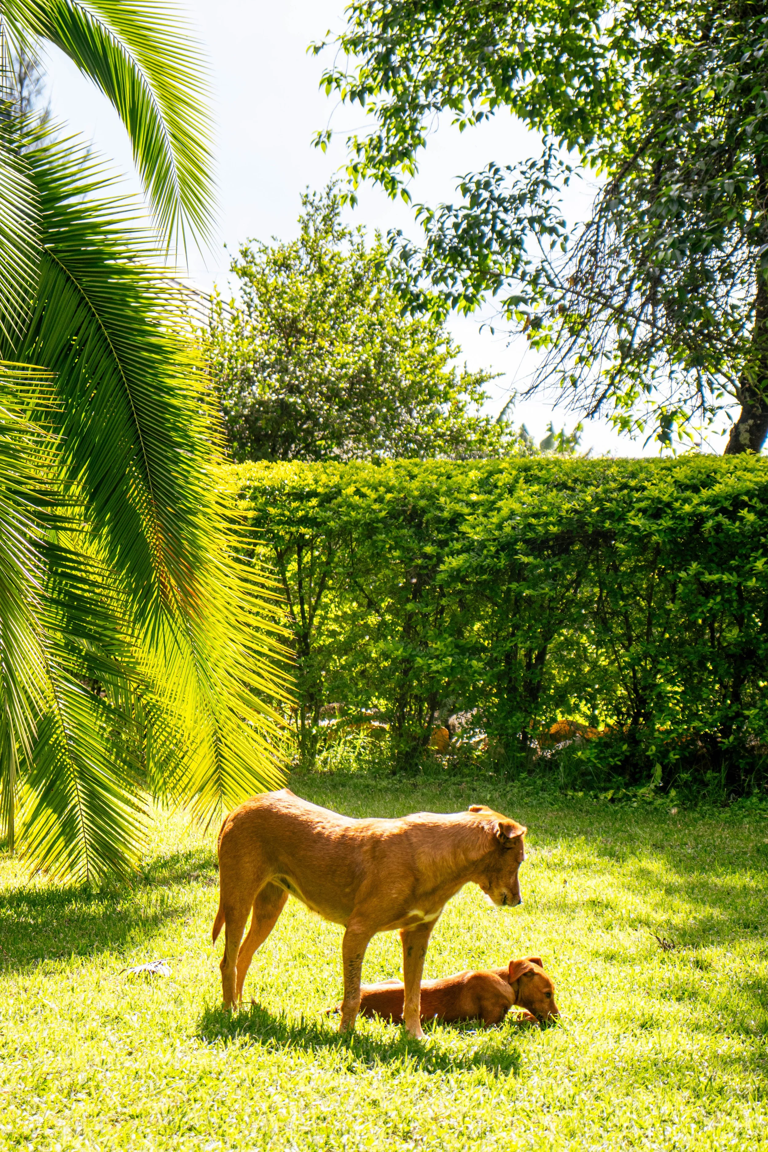   Picha Profile&nbsp;   mwivandagloria   