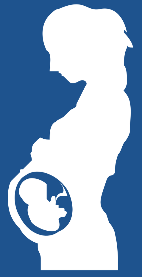 Silhouette of a pregnant woman with an inset showing a fetus in the womb.