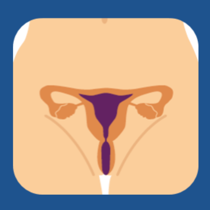 Illustration of female reproductive organs including the uterus, fallopian tubes, and ovaries.