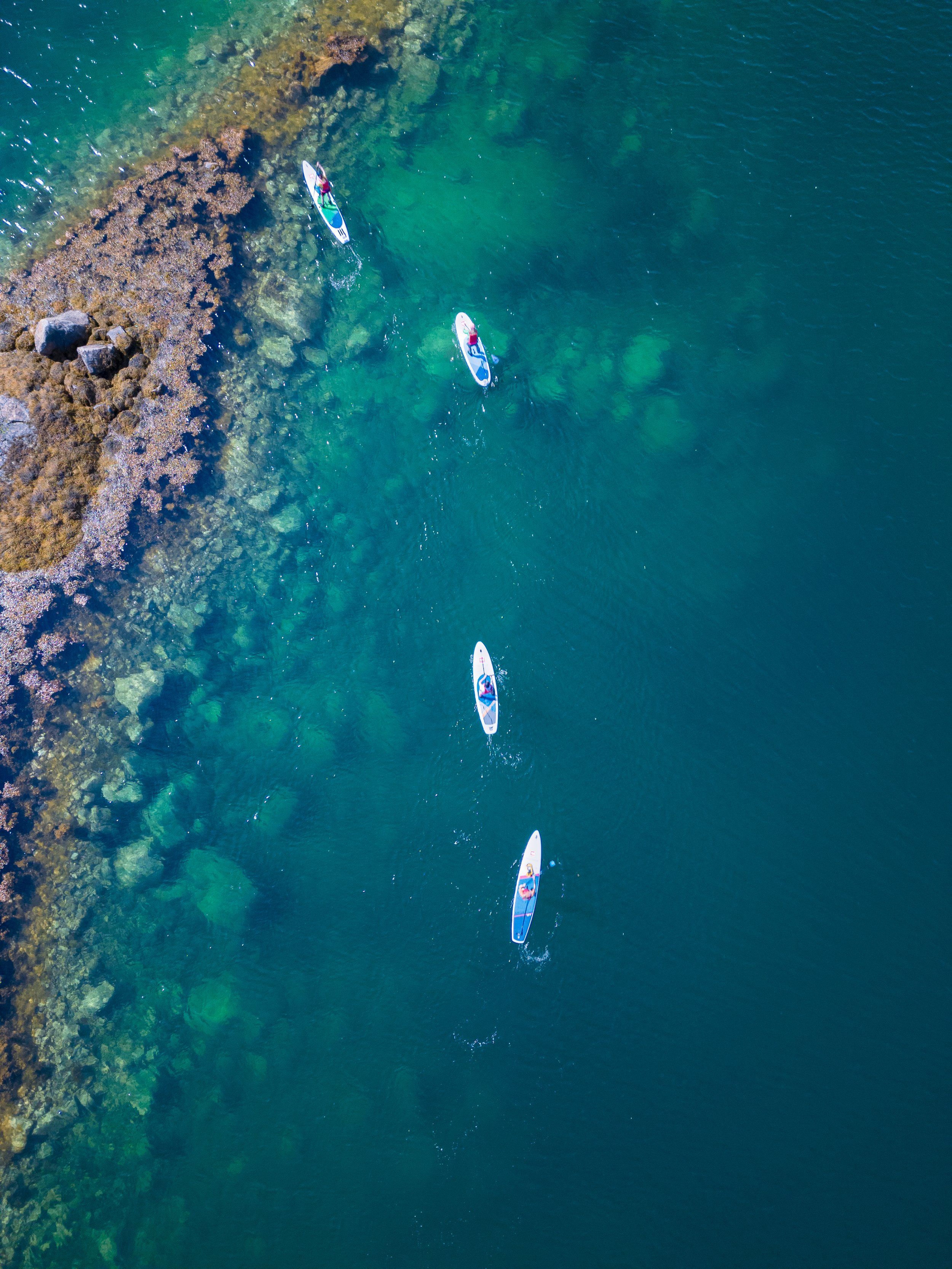 DJI_0041.jpg