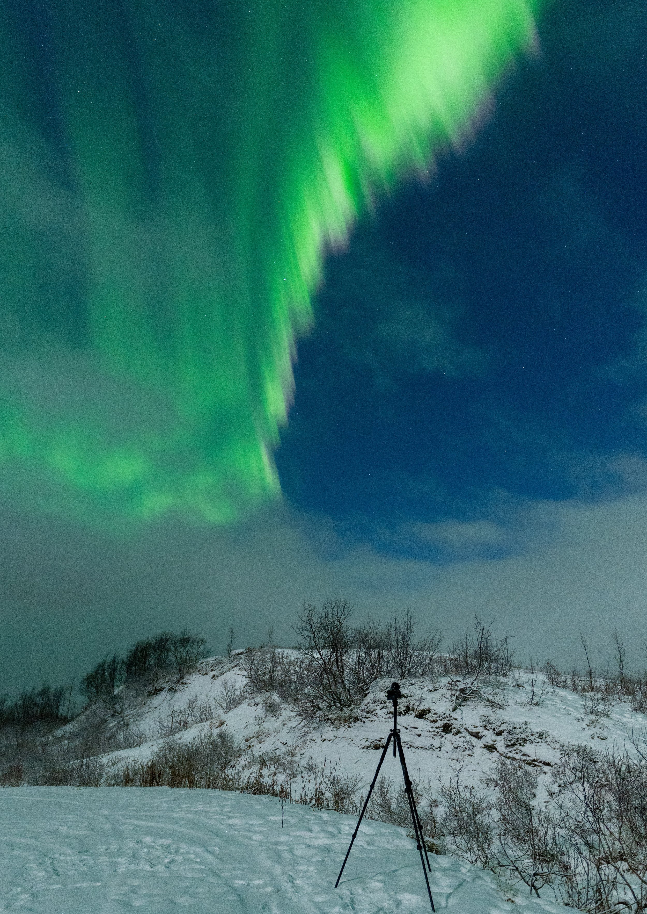 aurora__-04.jpg