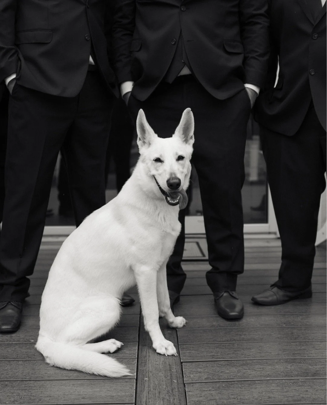 We were just as excited as pretty lil Luna to watch Layna &amp; Justin say &ldquo;I Do&rdquo; at The Artisan 🤍

Thank you so much for trusting us to document your special day! 

✨Vendor Team✨

Venue | @baetje_farms 
Attire | @claricesbridal / @thebr