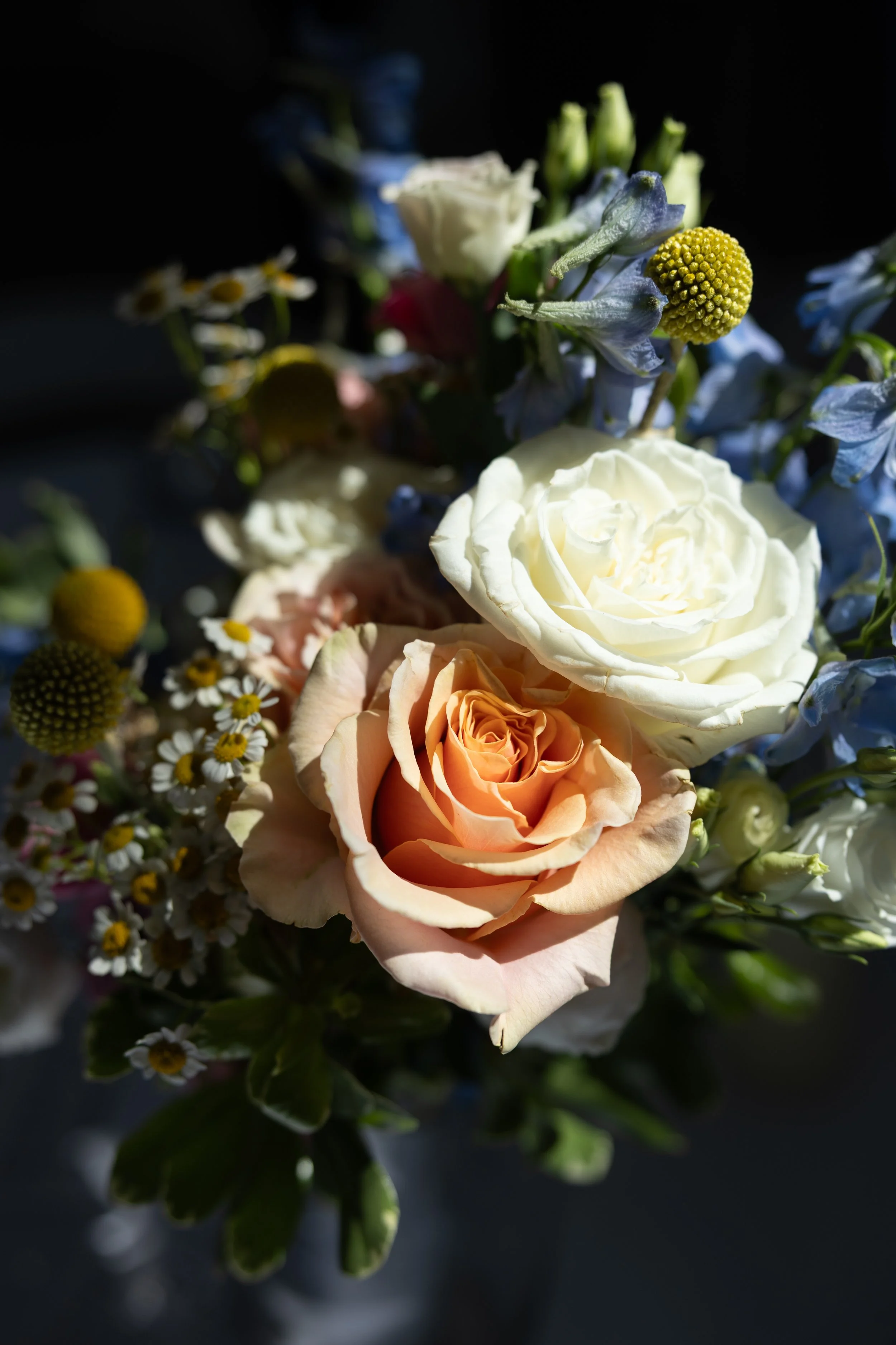 1E79C29F-1421-4B22-BF54-A55933E95B62_L0_001-7_28_2025, 9_04_51 PM.jpg