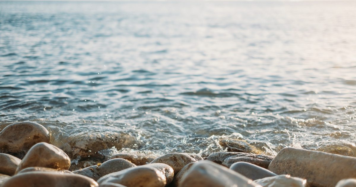 Untitled design (10).png