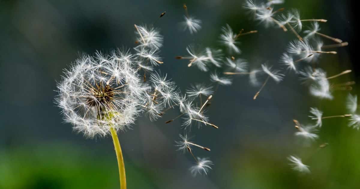 Untitled design (9).png