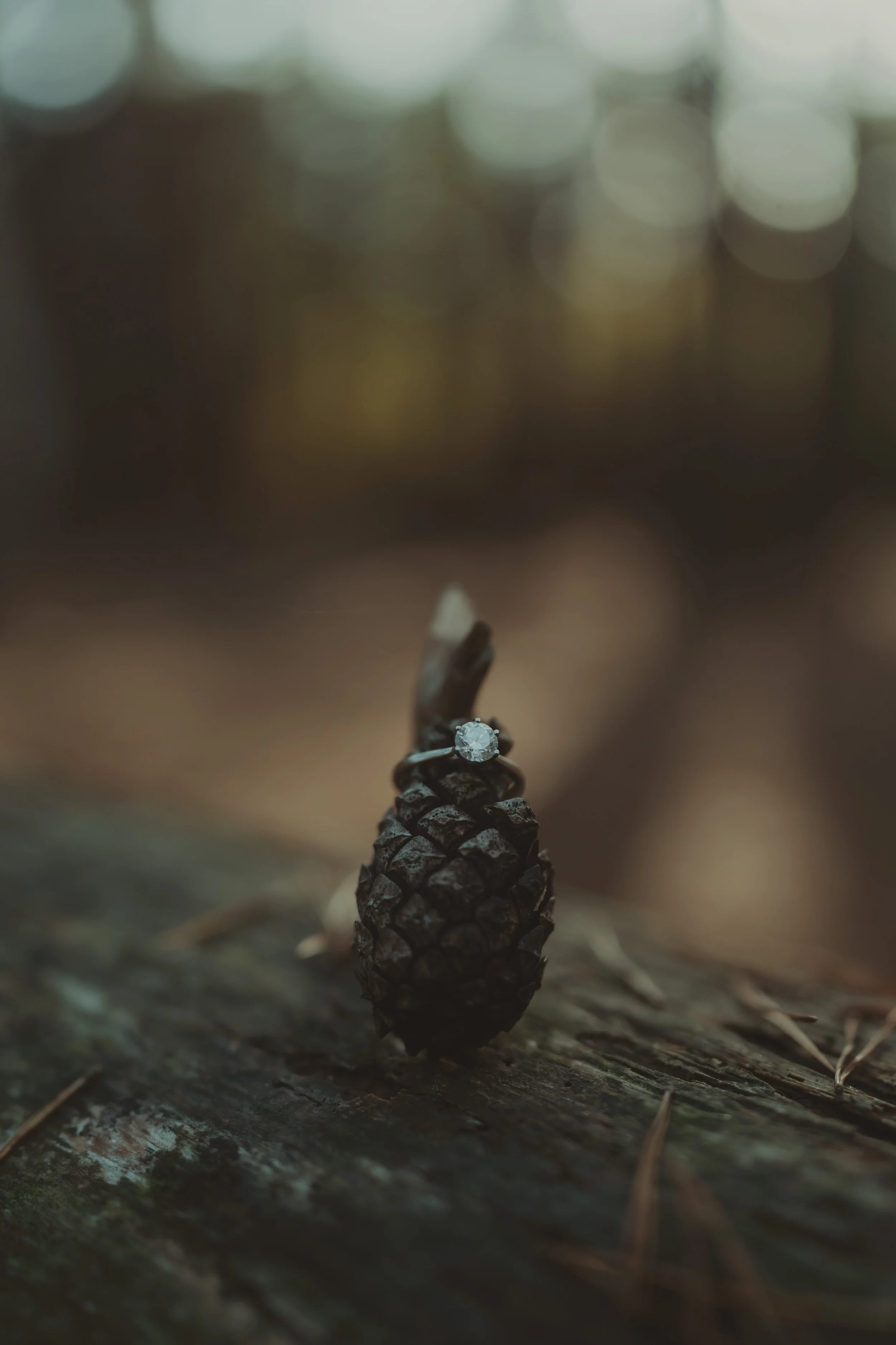 Charlotte & Louis - Pre-Wedding -1033.jpg