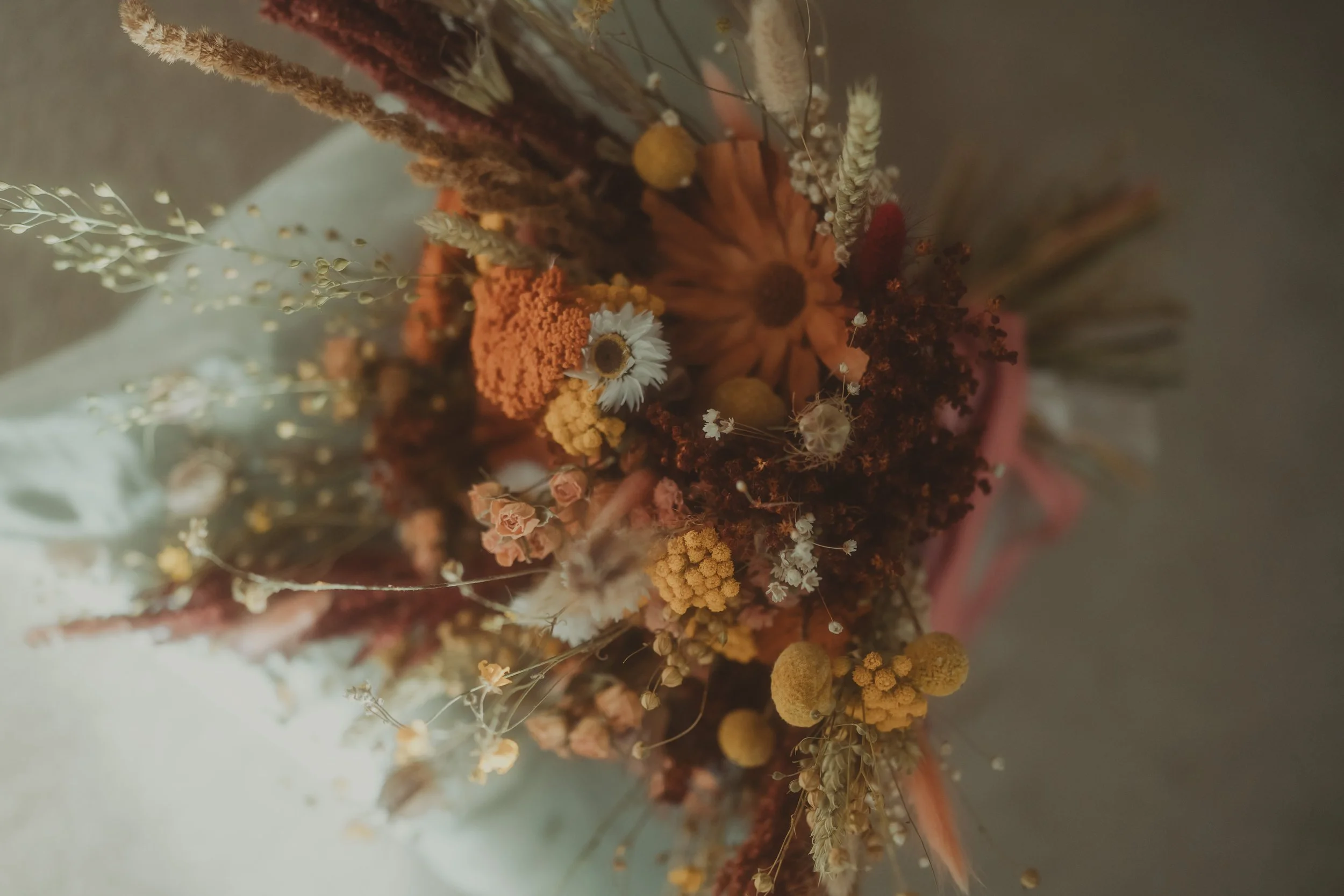 Freya & Louis -1152.jpg