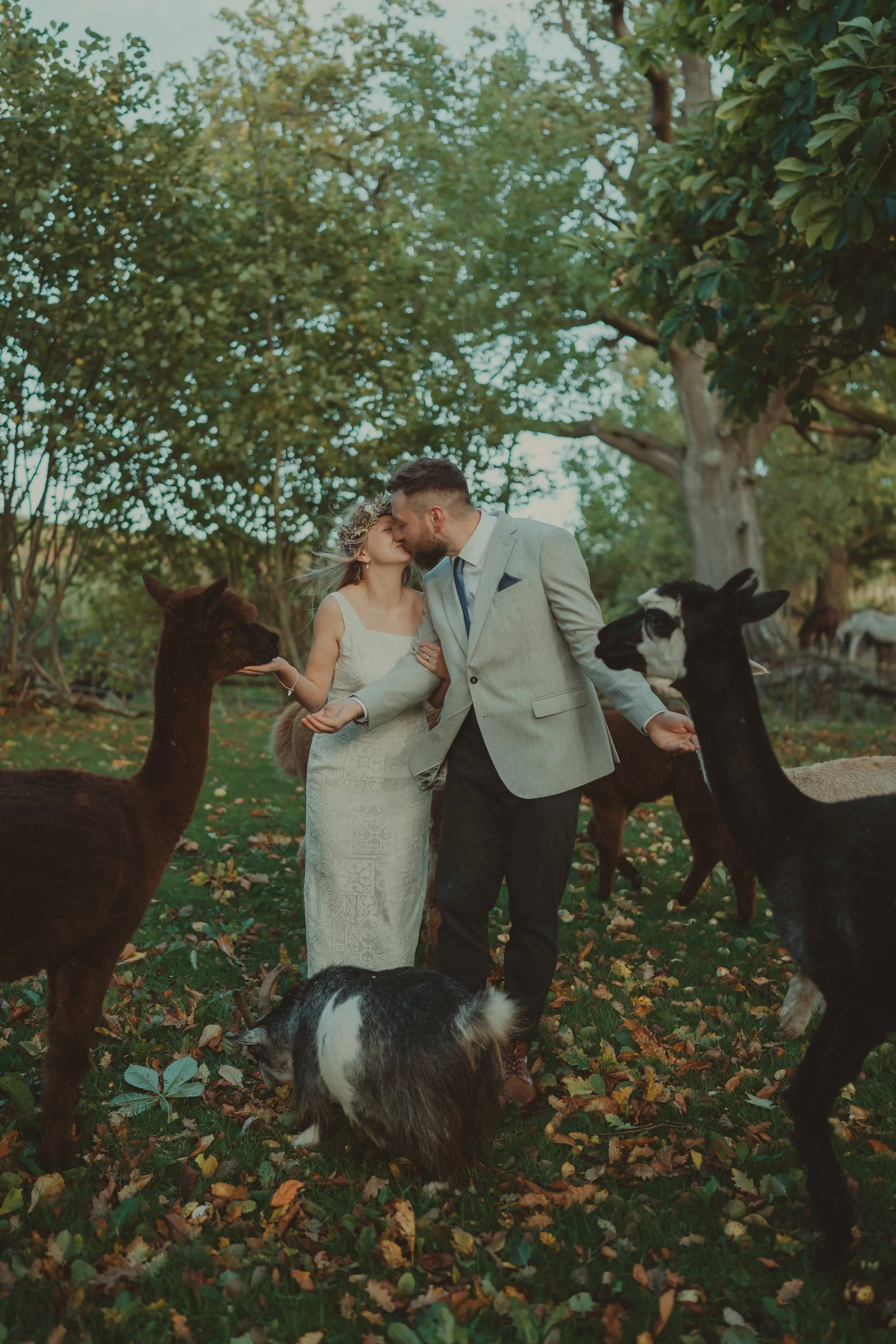 Heidi & Darren - Wedding Day-1732.jpg