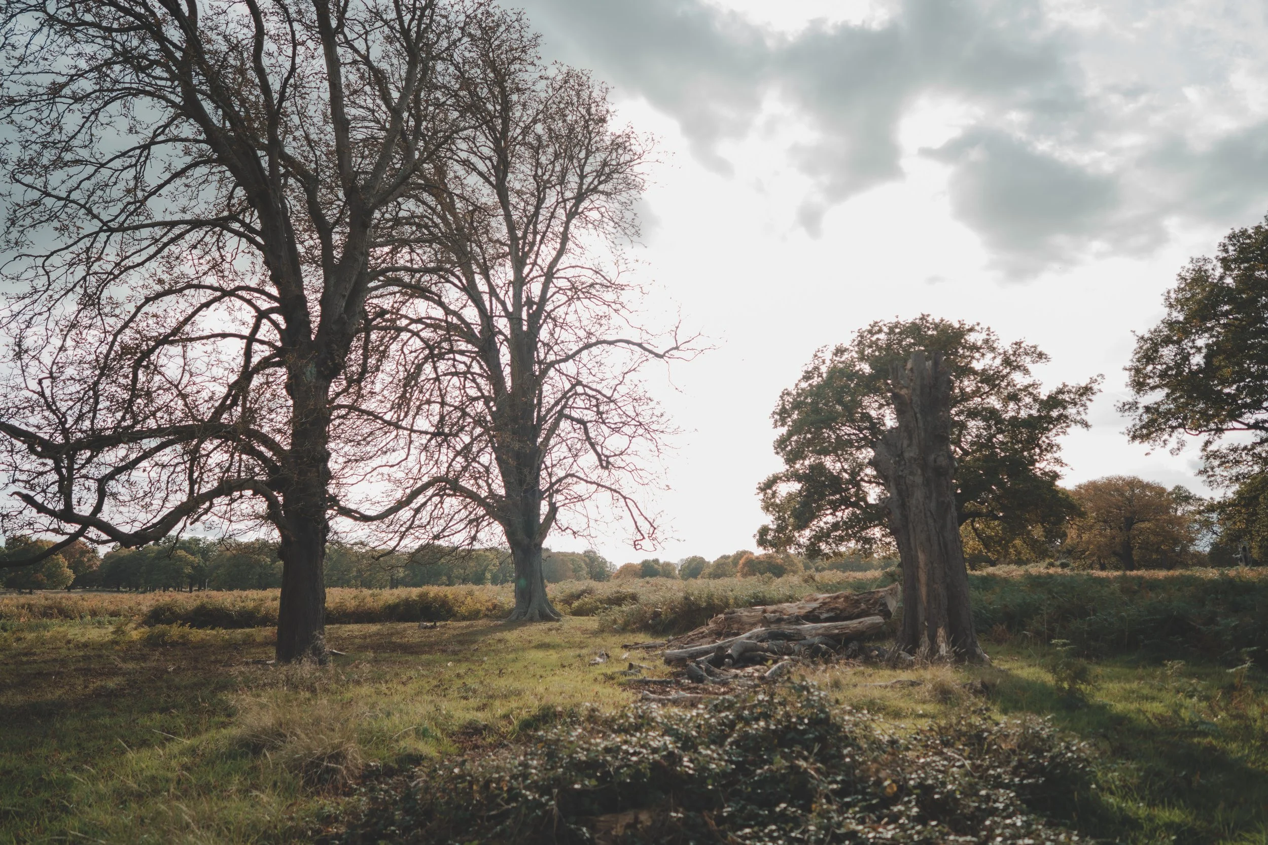 Katie & Alex -1048.jpg