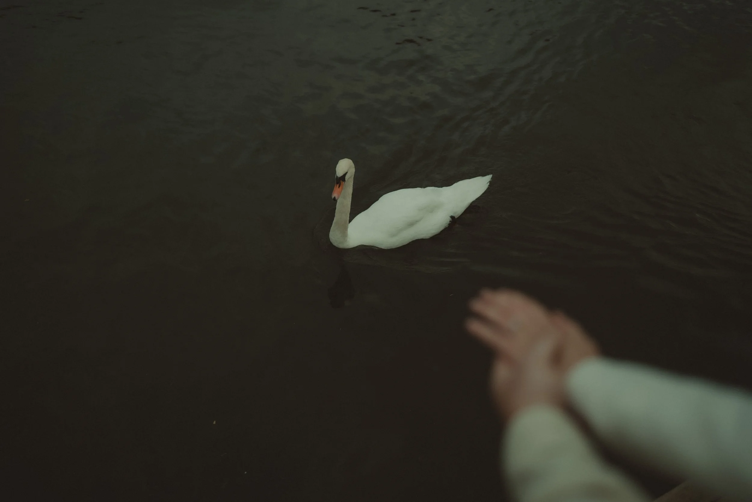 Pre-Wedding - Gemma & Bran (52 of 104).jpg