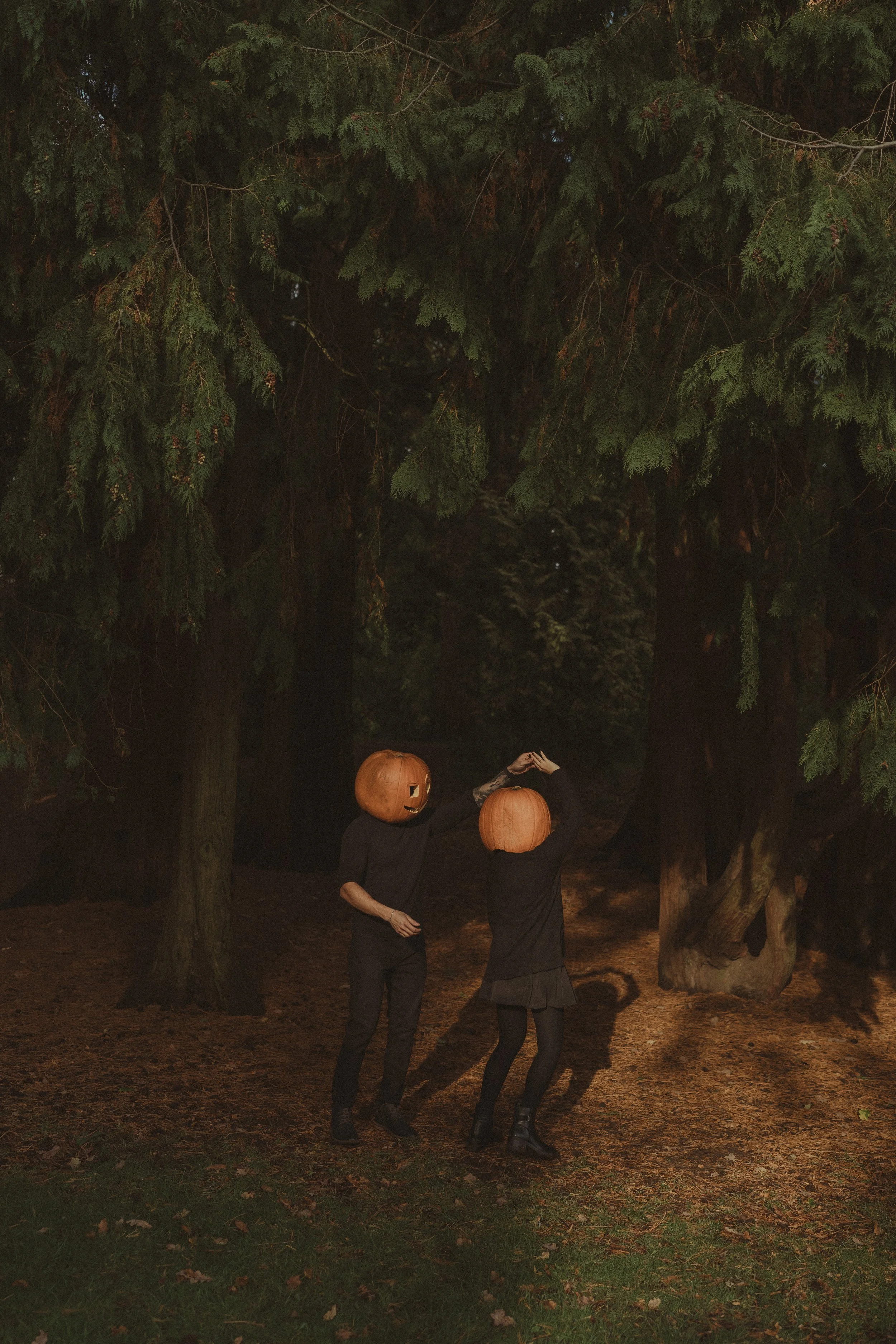 Halloween photo session, couple dancing wearing pumpkin carved heads, at Coombe Abbey Park, Coventry