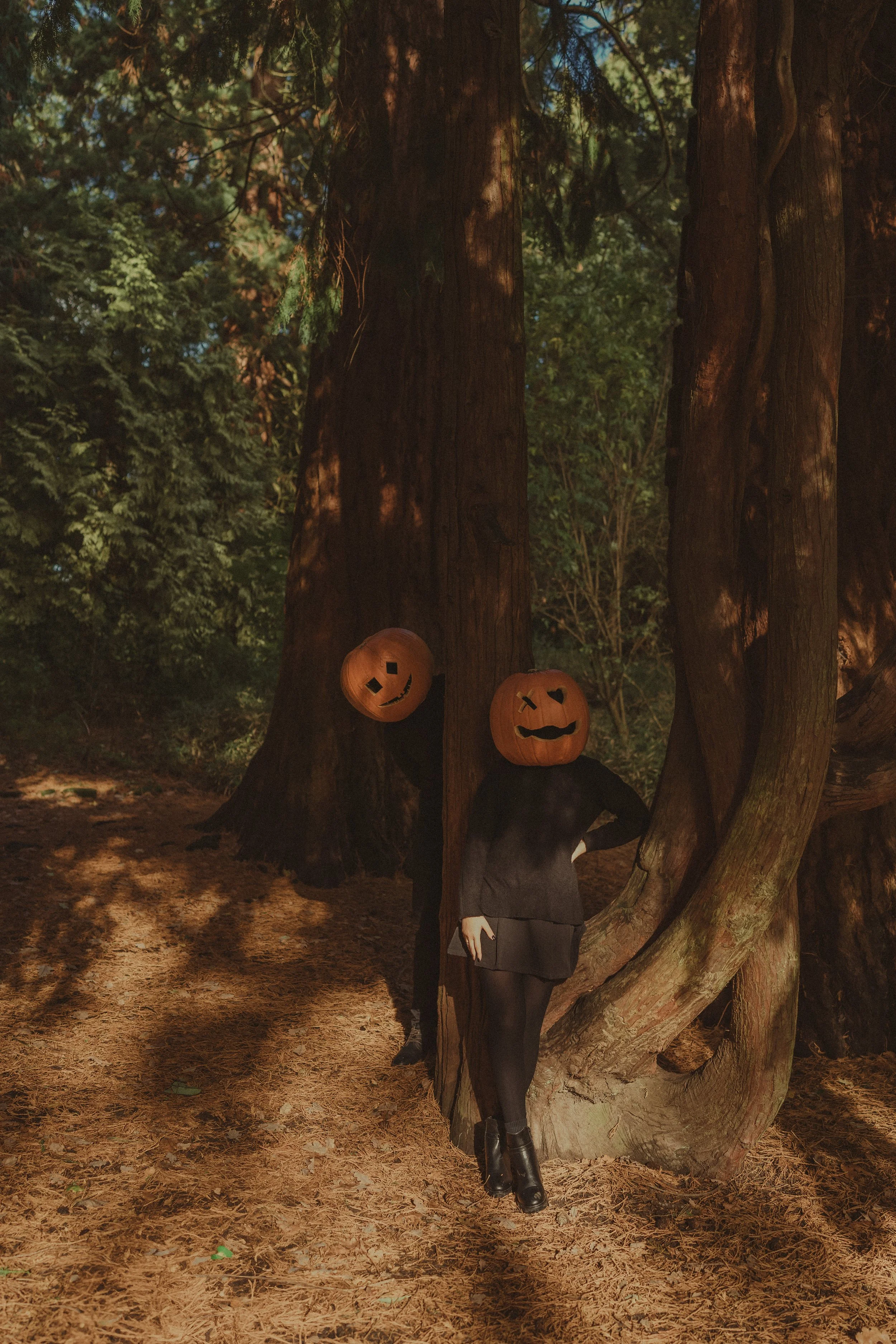 Halloween photo session at Coombe Abbey Park, UK