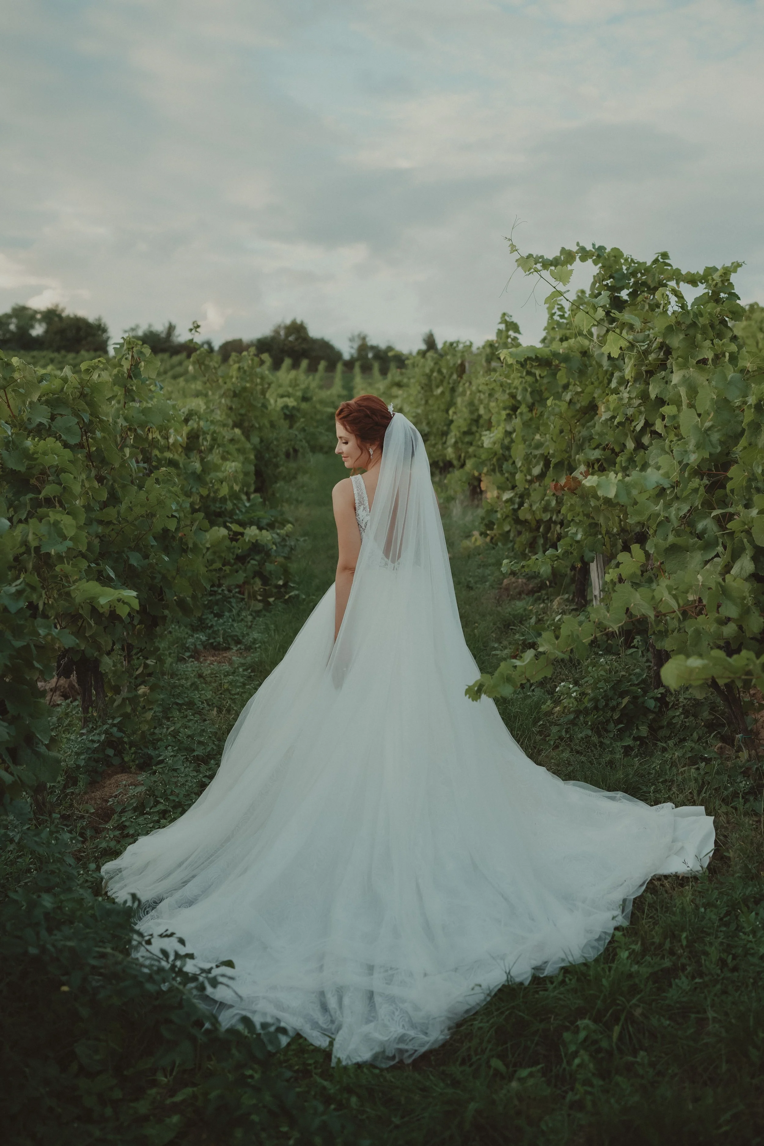 Ema & Peter - 16.09.23-289.jpg