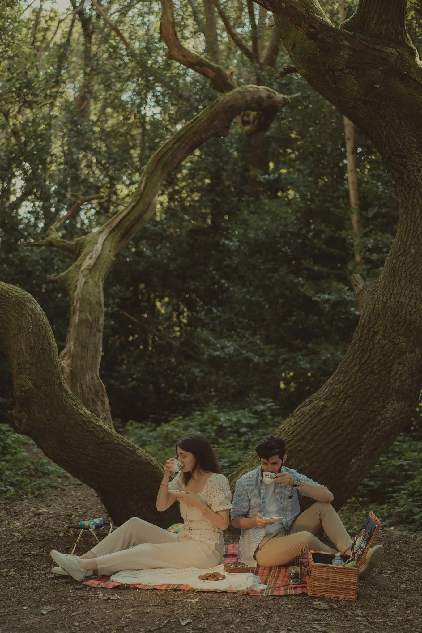 Couple having a picnic under a tree in a forest park in Coventry