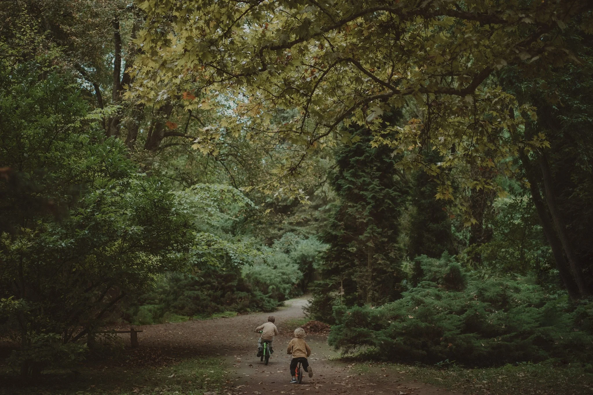 Two little kids riding their bikes during a family photoshoot