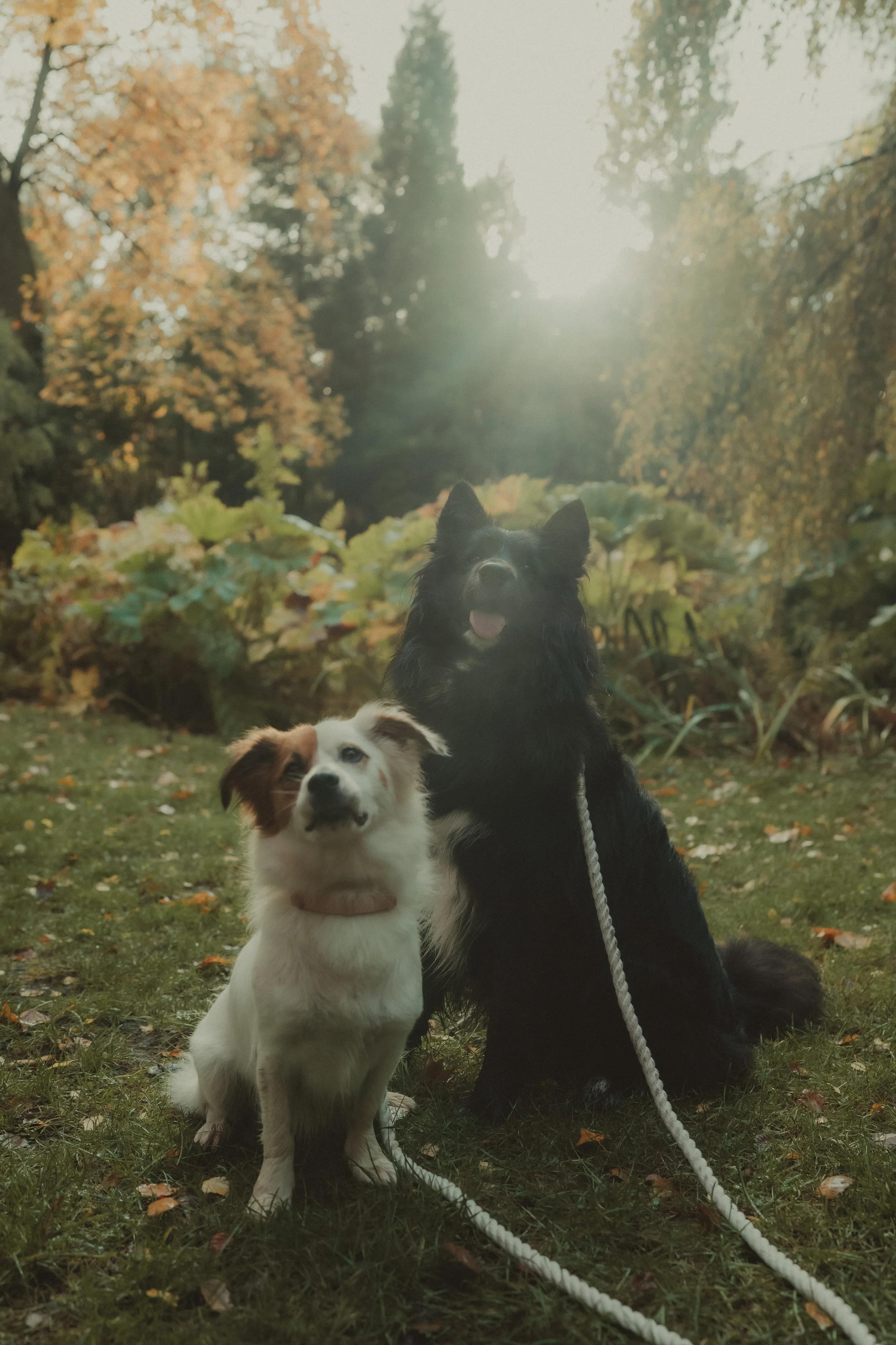 Sylwia & Gary-1130.jpg