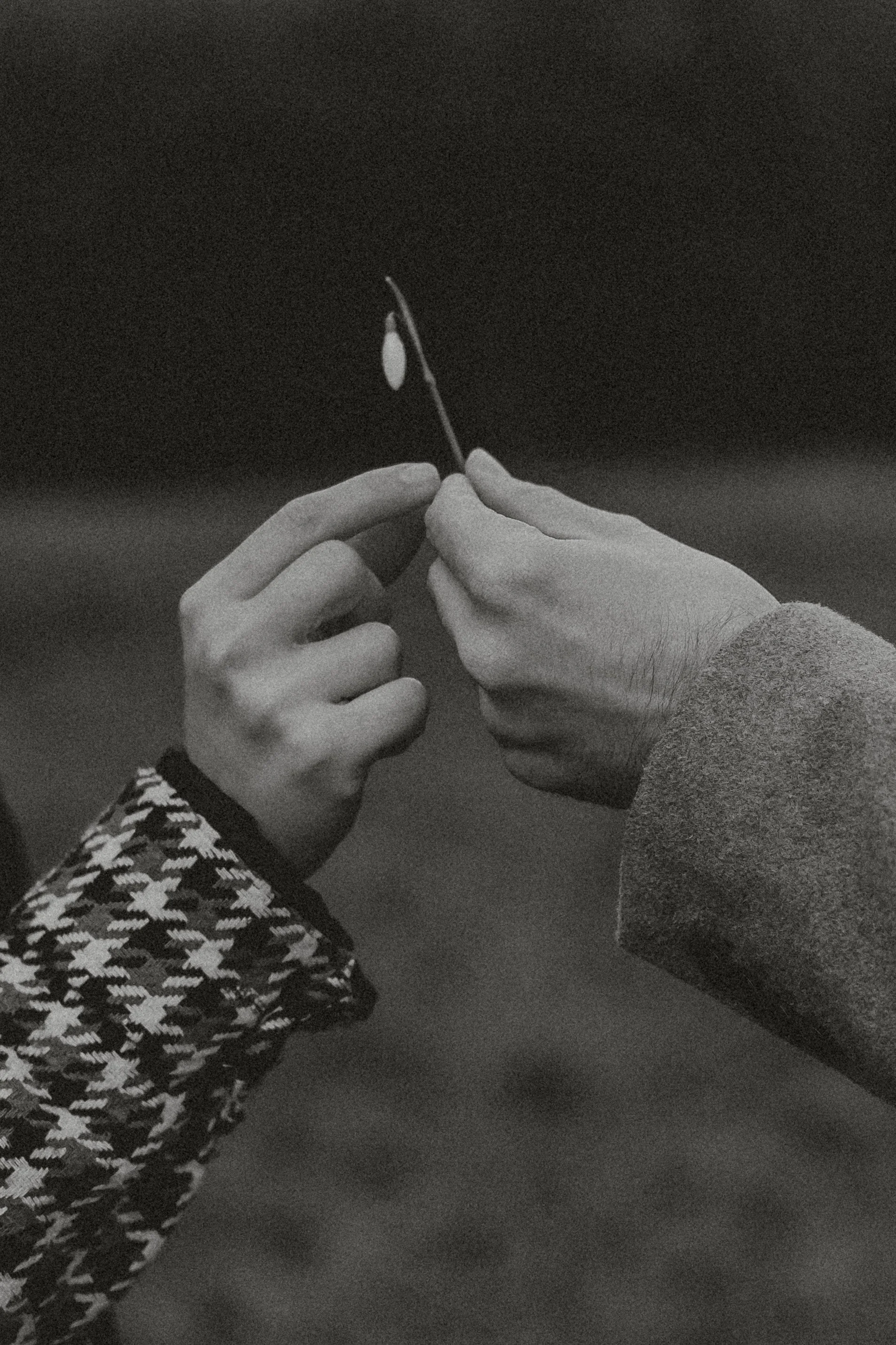 Cristina & Dan-1030.jpg