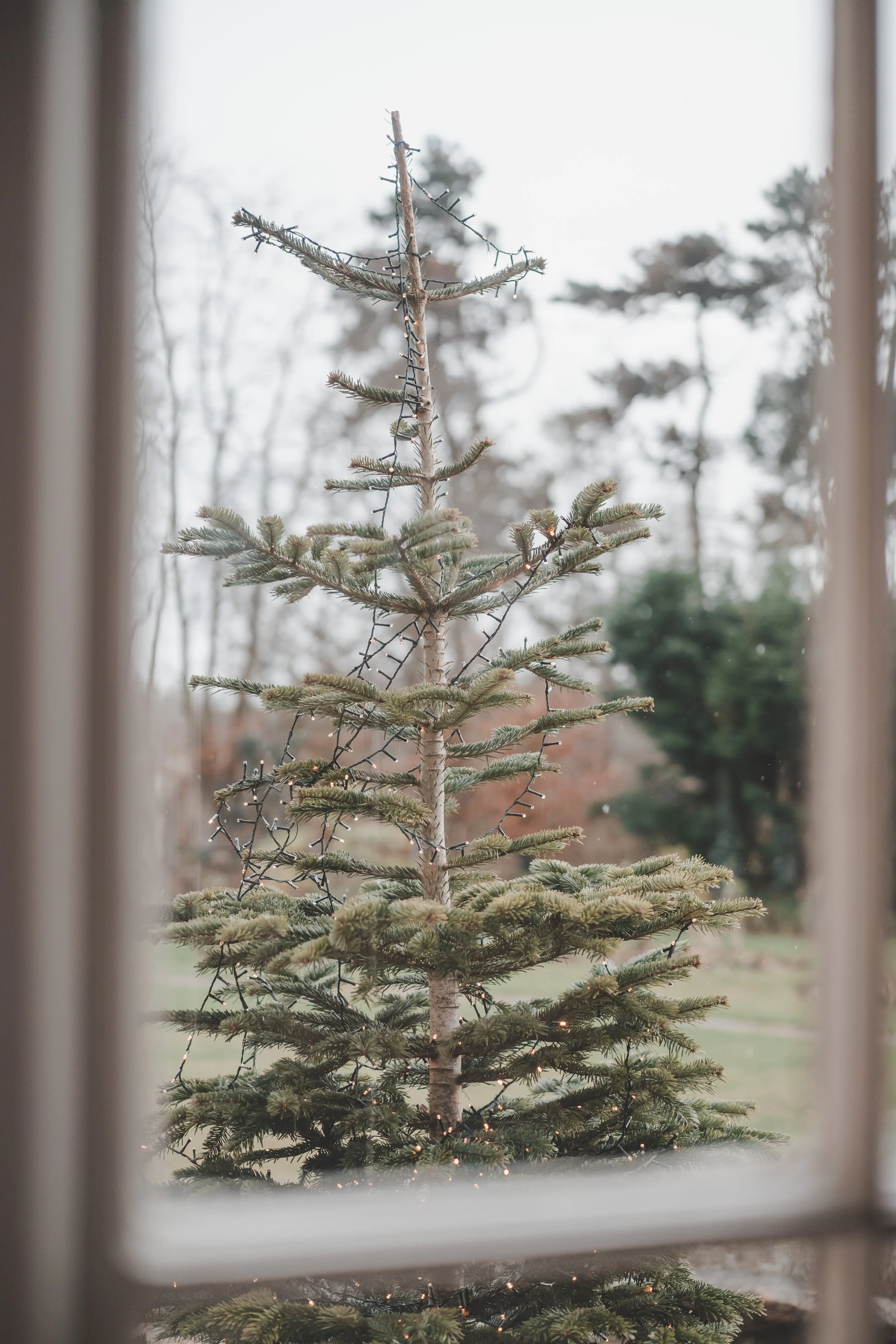 Weddings - Bright and Pastel - Website (6).jpg