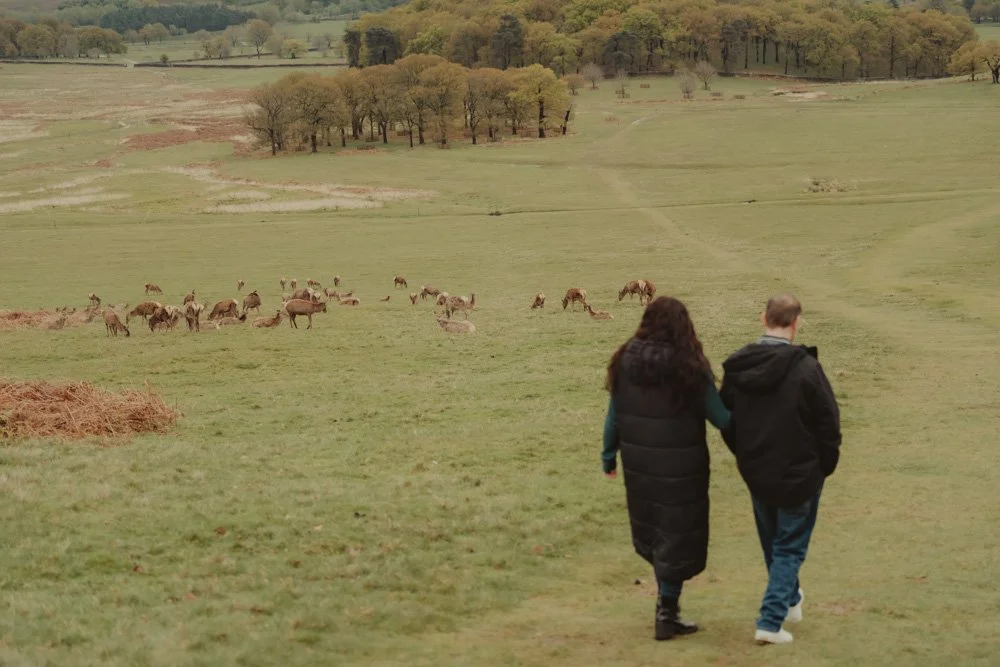Couple taking a walk in Bradgate Park with a pack of deer in the background
