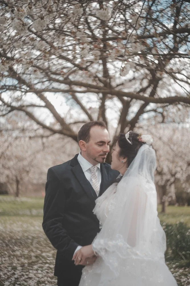 Newly wedds in Nottingham University park 