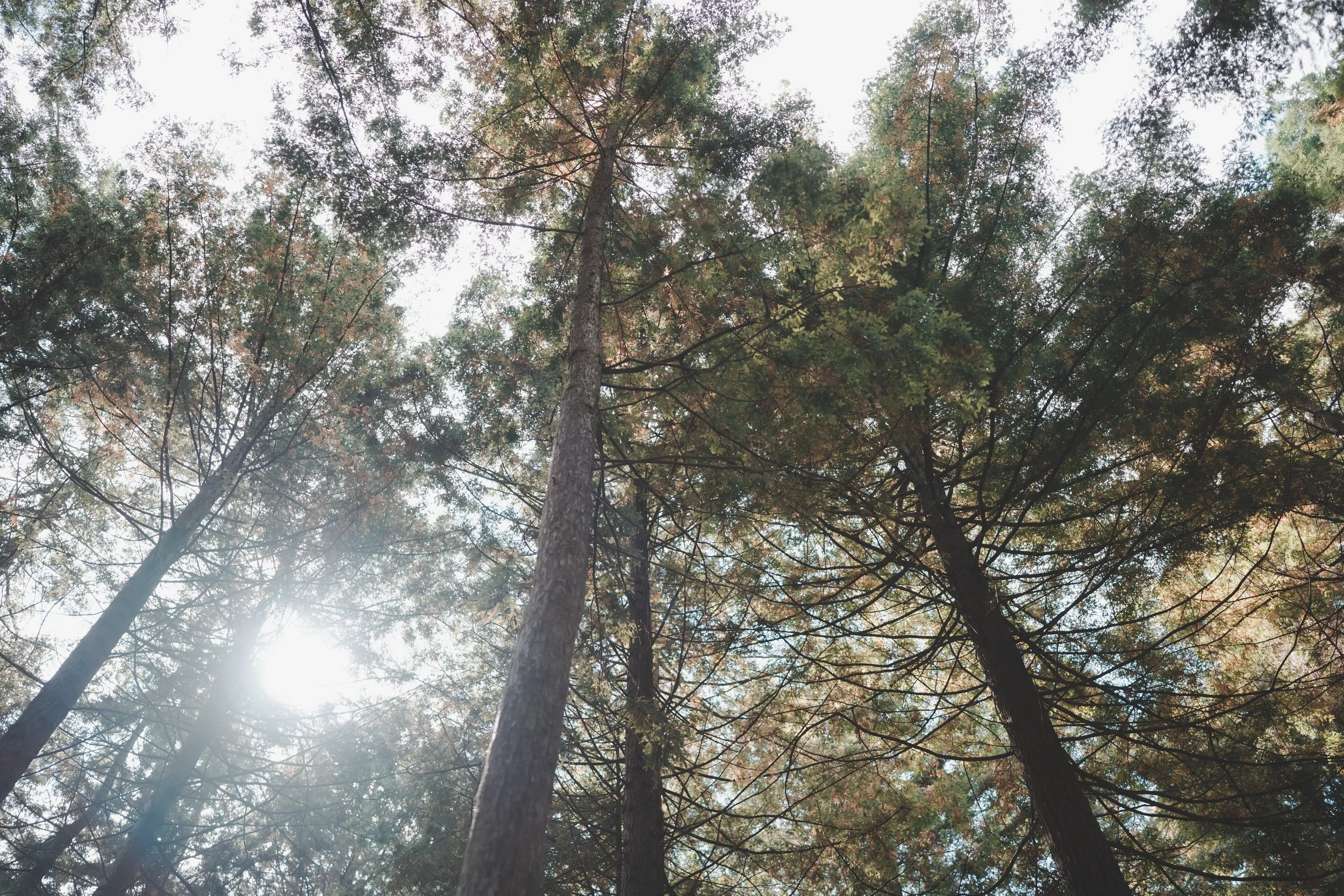 Weddings - Bright and Pastel - Website (110).jpg