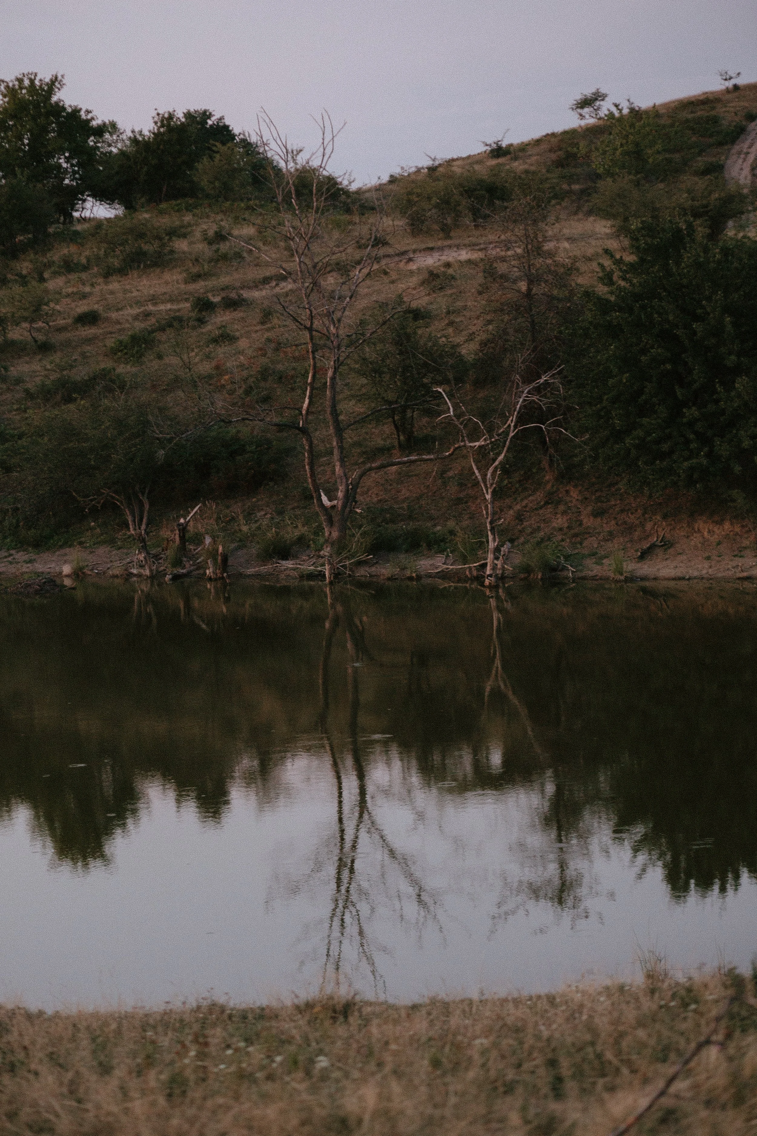 Anca&Cosmin - AfterWedding-1059.jpg