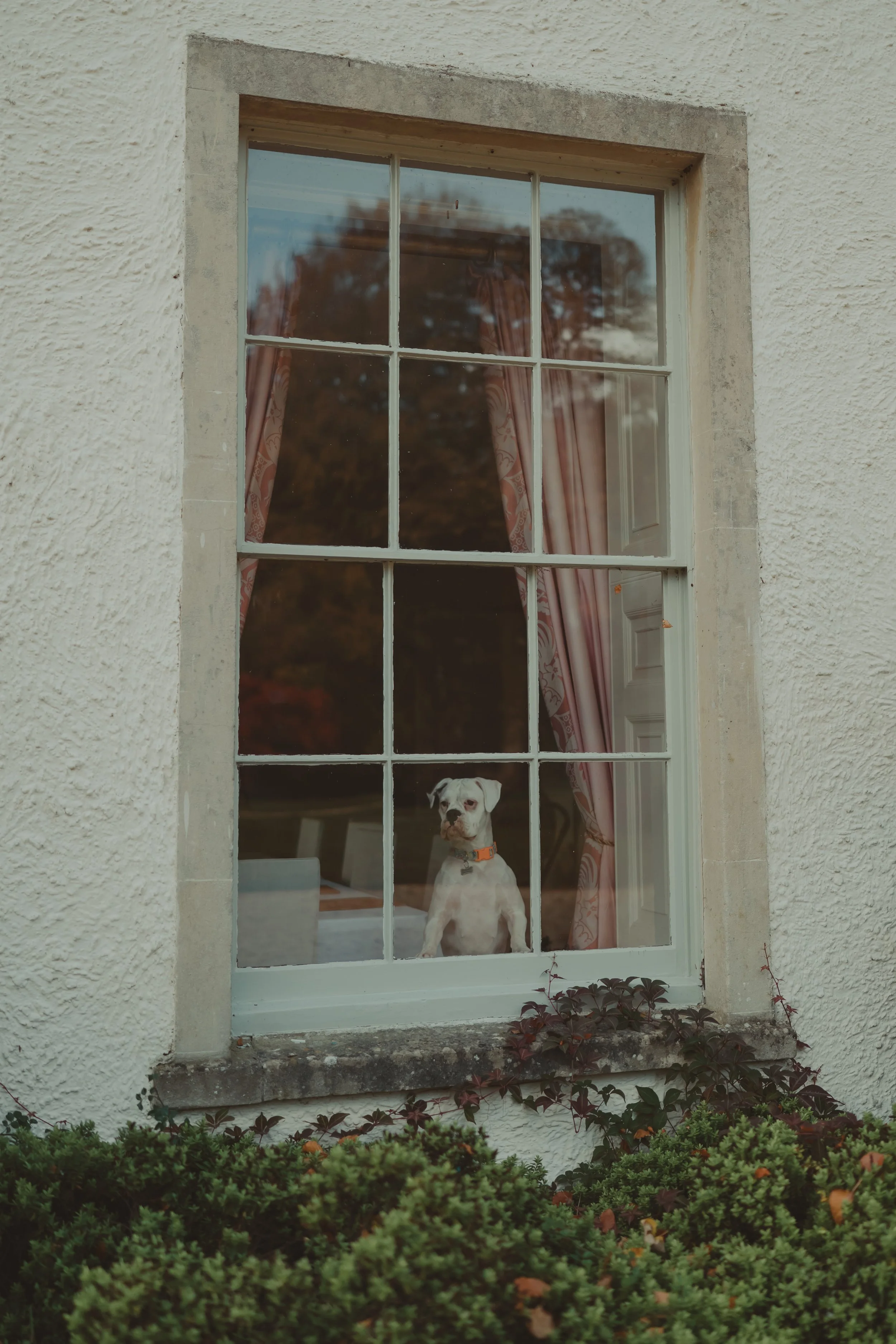 Freya & Louis -1323.jpg