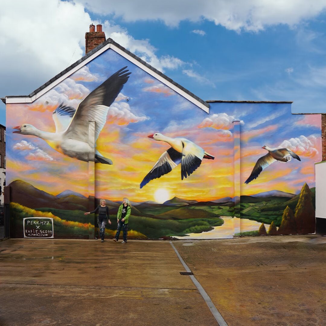 Back in Maccelsfield last week with @katiescott_creative painting our biggest collaboration yet! 
A piece inspired again by the late Charles Tunnicliff painted onto the @snowgoose_cafe_bar 
Thank you @cheshireeast and @avantiwestcoast for creating su
