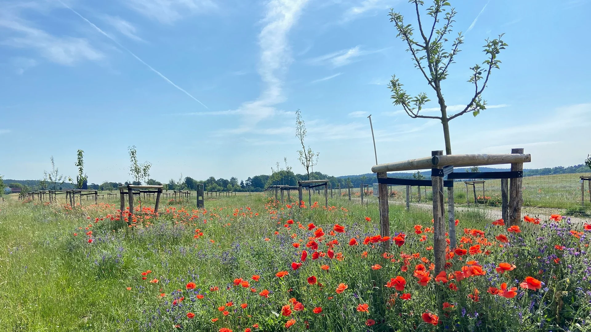 FUN-Treff bei Meisers Obstgarten GbR
