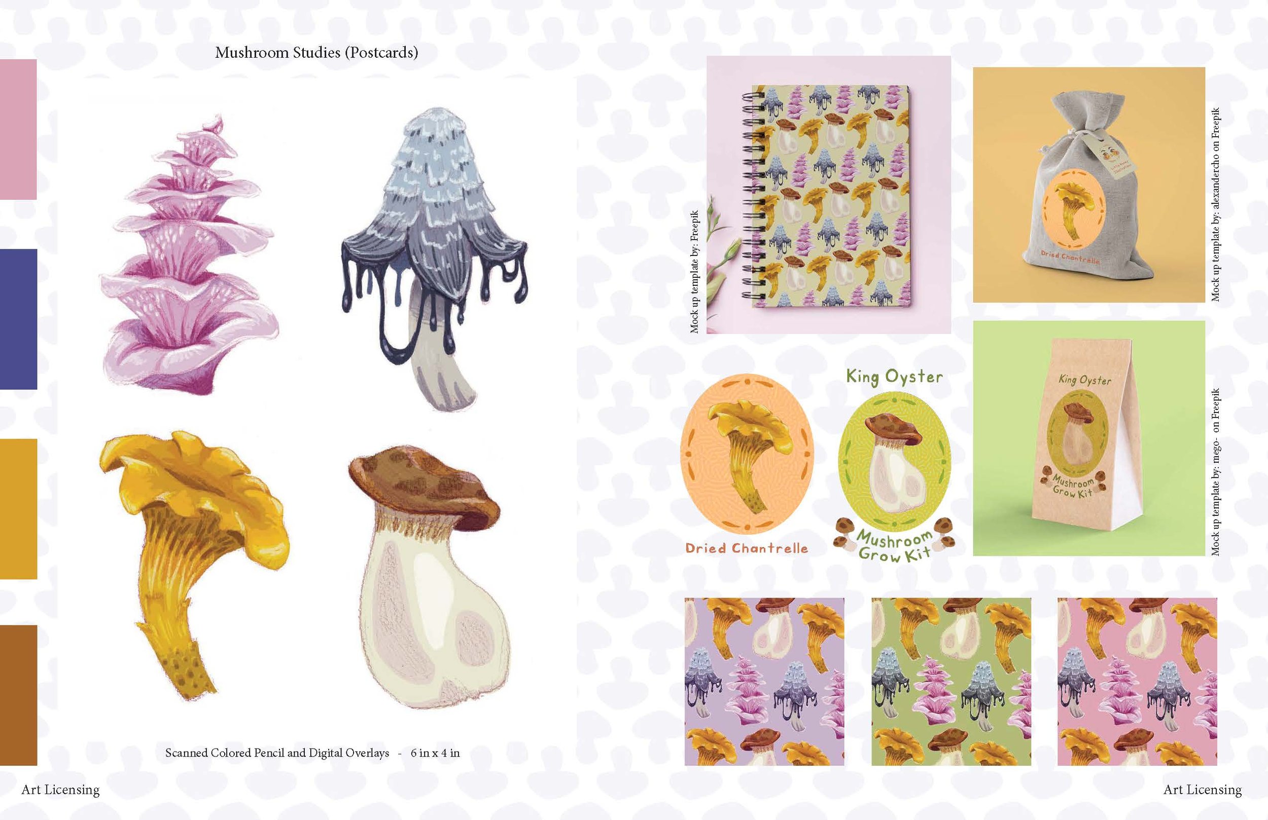 The pieces on the left are mushroom studies done digitally over a traditional colored pencil sketch. These mushrooms were used to play with patterns and licensing ideas.