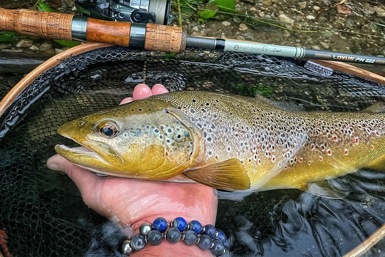 La gamme des cannes leurres Loxus : des cannes sp&eacute;cifiques pour les p&ecirc;ches de la truite adapt&eacute;es &agrave; tous les types de rivi&egrave;res et aux poids de leurres utilis&eacute;s👌 .Comme @leonard_balbuzard  avec une 2,20 m avant
