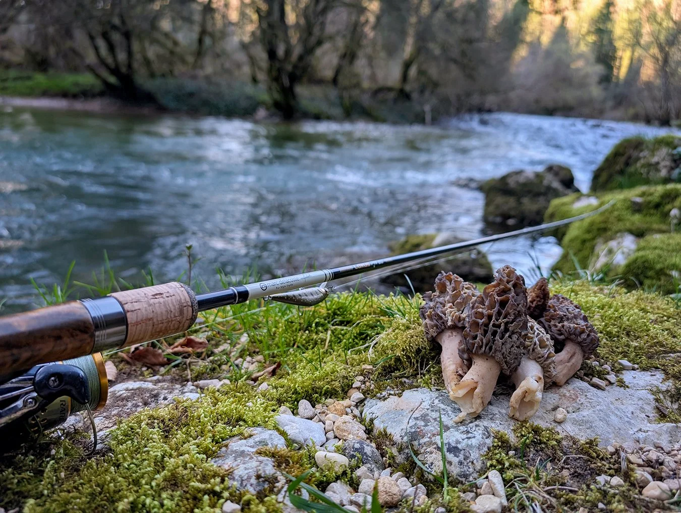P&ecirc;che au leurre semaine derni&egrave;re pour Thibault Fillatre &eacute;quip&eacute; des cannes Loxus PN ... r&eacute;sultat des "truites aux morilles 🎣🍄&zwj;🟫 " : "Un super week-end de P&acirc;ques au bord de l'eau dans le Hau