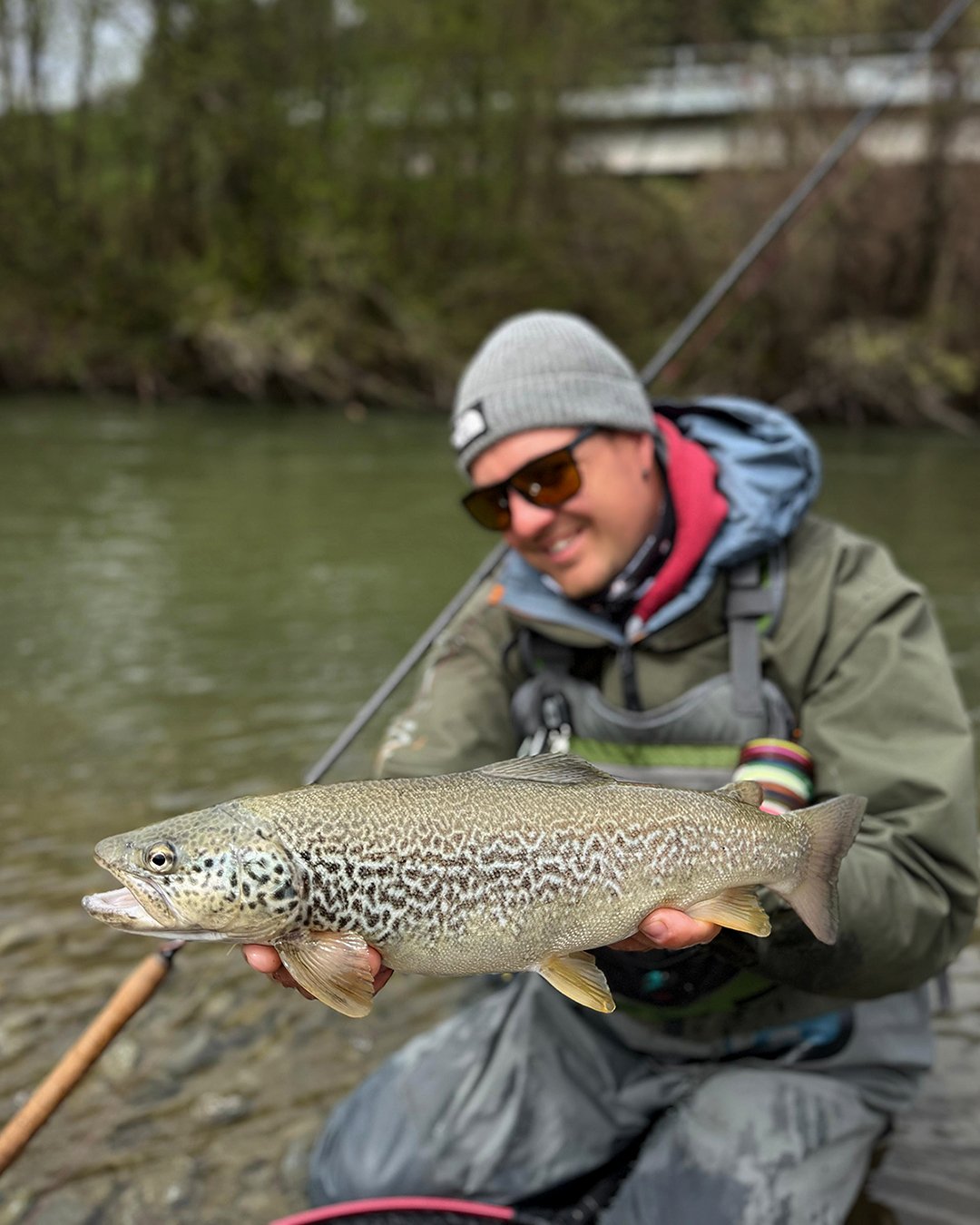 Suite aux derniers posts, voici comme pr&eacute;vu quelques poissons pris par @mugnieraxel  durant ce s&eacute;jour dans les 🇮🇹Dolomites⛰️ qui s'est termin&eacute; mi-avril .Sur les secteurs autoris&eacute;s, la p&ecirc;che aux app&acirc;ts naturel