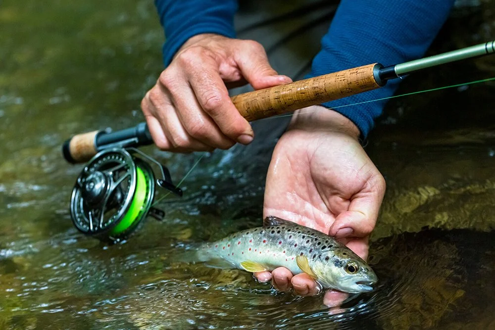 Lumix fluo mat vert_2.jpg