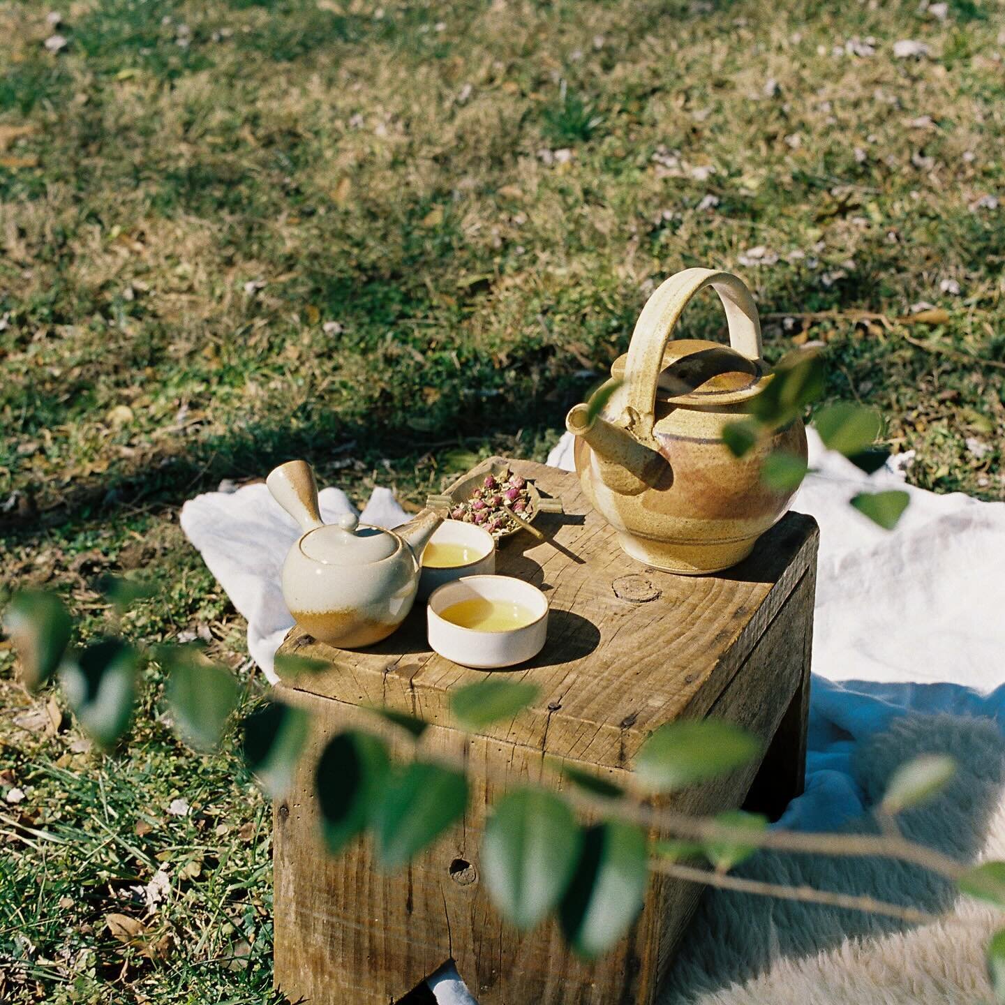 Embrace the balance of the spring equinox, celebrating the harmony of day and night. 🌞🌜 Become a &lsquo;Dovetail Together&rsquo; member (like a substack on steroids) to learn how to host your own Spring Equinox Tea Ceremony and so much more!