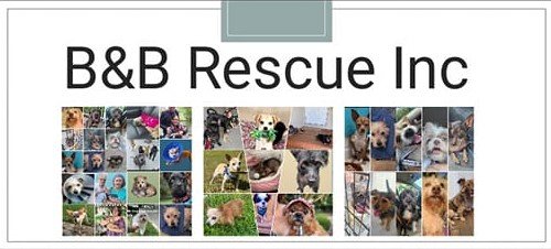 B&amp;B Rescue Inc