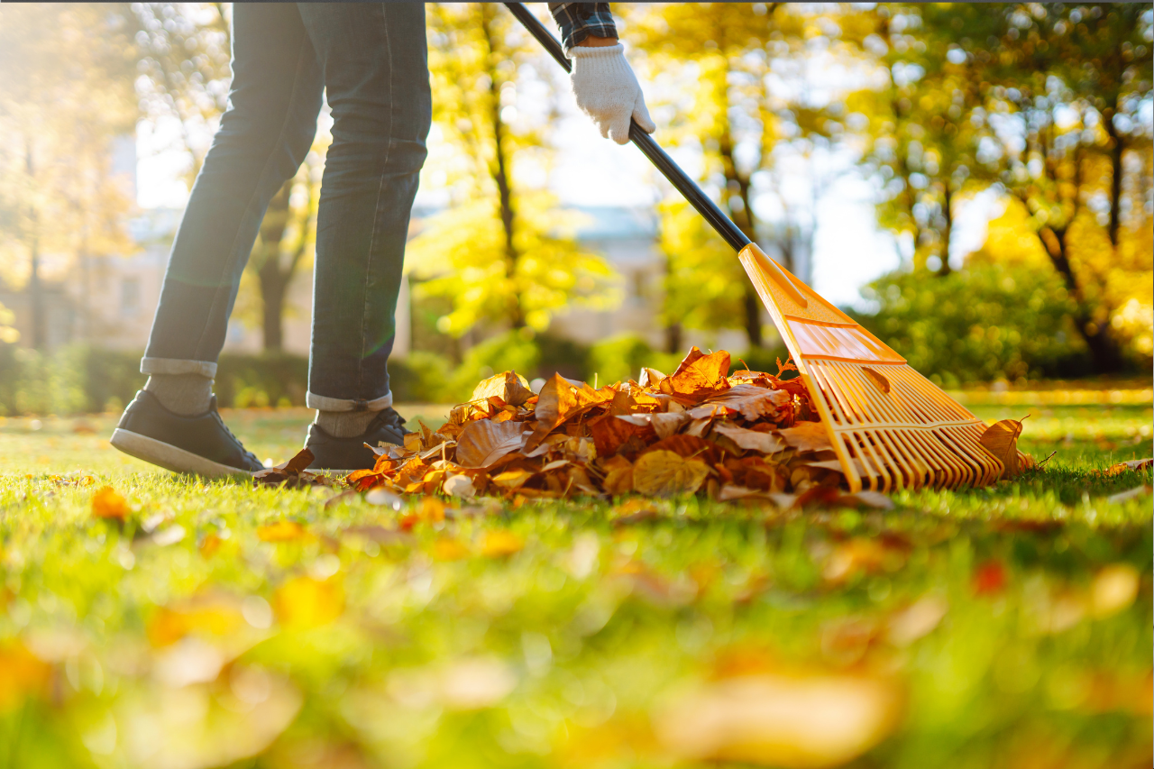 How Property Management Companies Build Stronger Communities in the ‘Ber’ Months