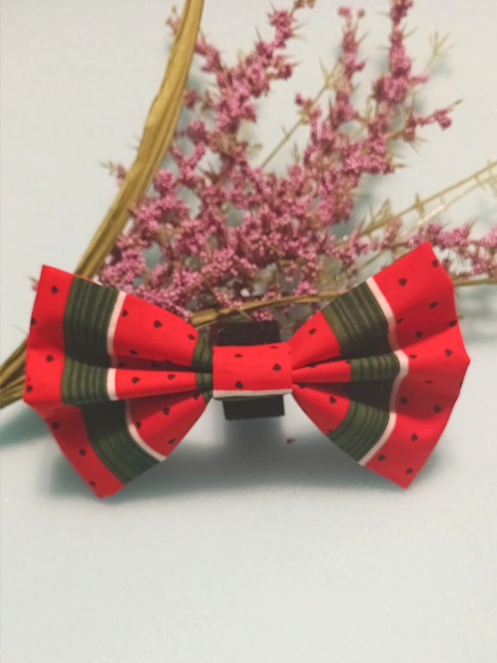 Water Melon Splash Handmade Dog and Cat Bow Ties