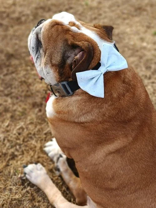 Handmade White Easter Bunny Dog And Cat Holiday Bow Ties