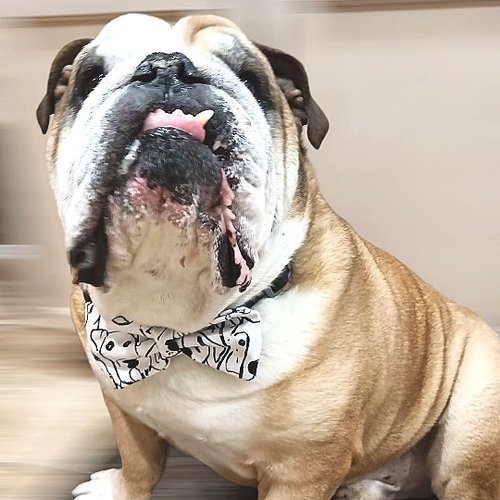 Black and White Doggy Face Dog Bow Ties