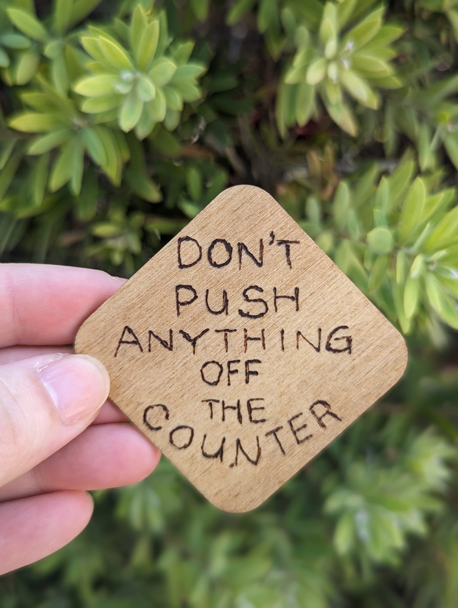 Don't Push Anything Off The Counter.jpeg