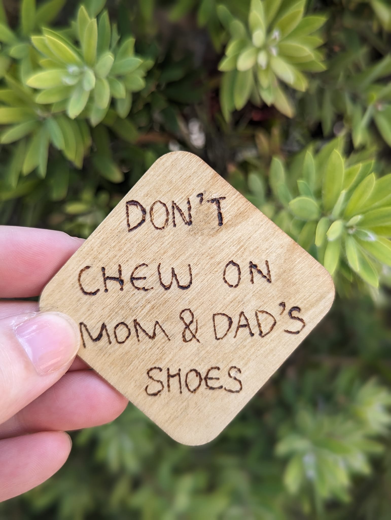 Don't Chew On Mom And Dad's Shoes.jpeg