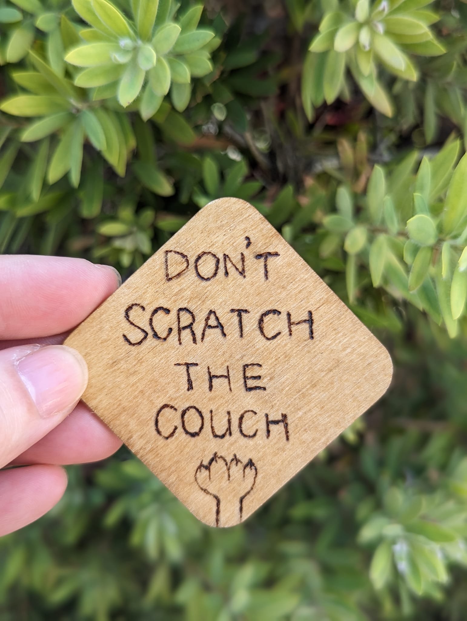 Don't Scratch The Couch.jpeg